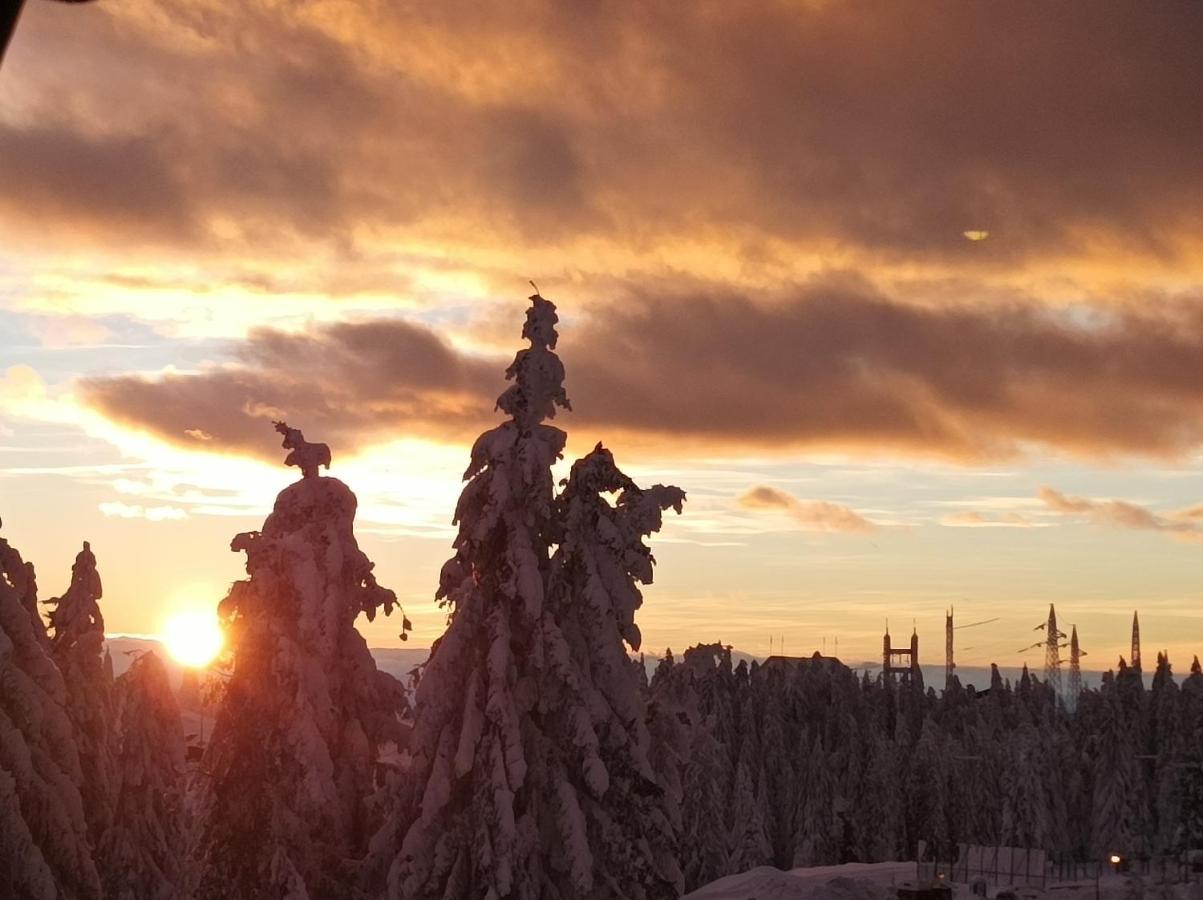 Appartamento Mali Medved Konaci Kopaonik Esterno foto